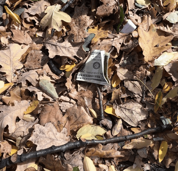 Screen shot 2015-10-18 at 1.57.03 PM